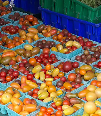 Plastični pladanj za hranu